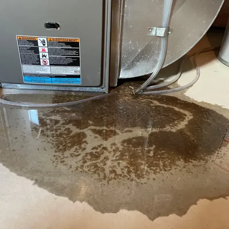 Appliance Leak Cleanup in Collinsville, MS